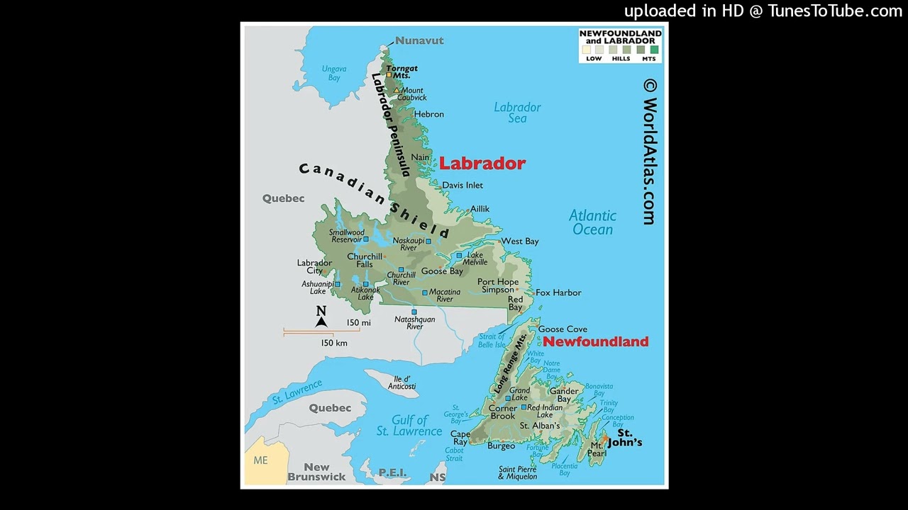 The Canadian Roast Game Shock Flock-And-Die (1998 - 2016), Newfoundland And Labrador!