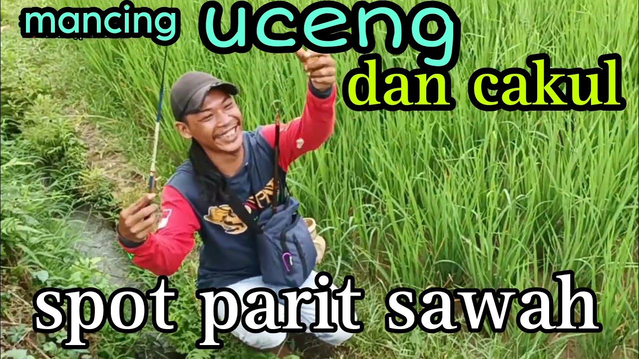 mancing uceng⁉️ freestyle hand fishing (micro fishing)