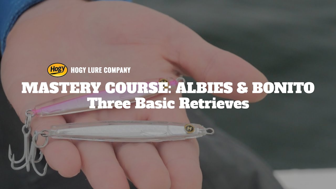 Albie Mastery Part 7 of 7: Three Basic Retrieves