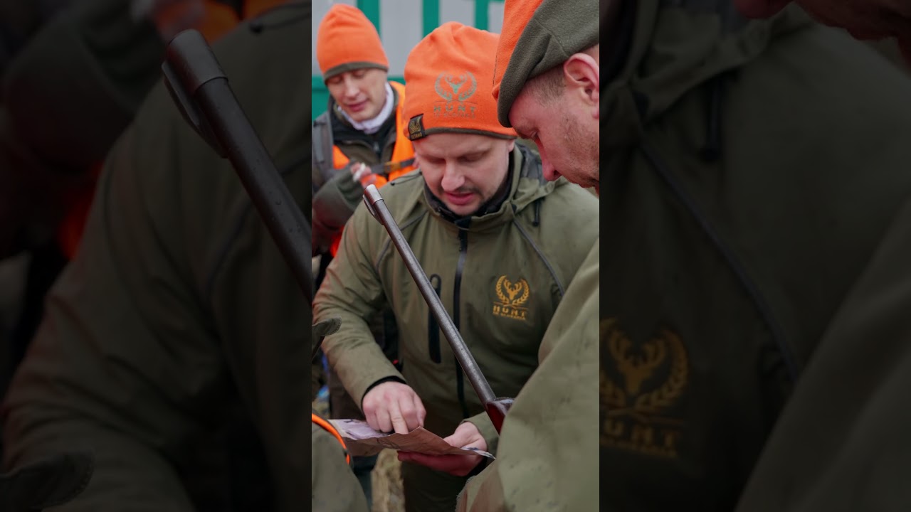 Driven hunt best shots and moments - Hunt in Slovakia 