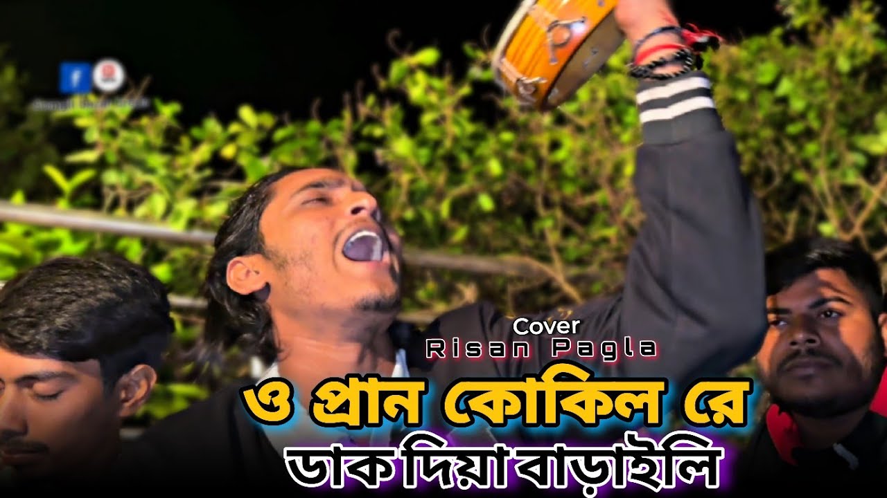 ও প্রান কোকিল রে ডাক দিয়া বাড়াইলি || কন্ঠে রিছান পাগলা || O Pran kukil Re || Cover - songit bazar 