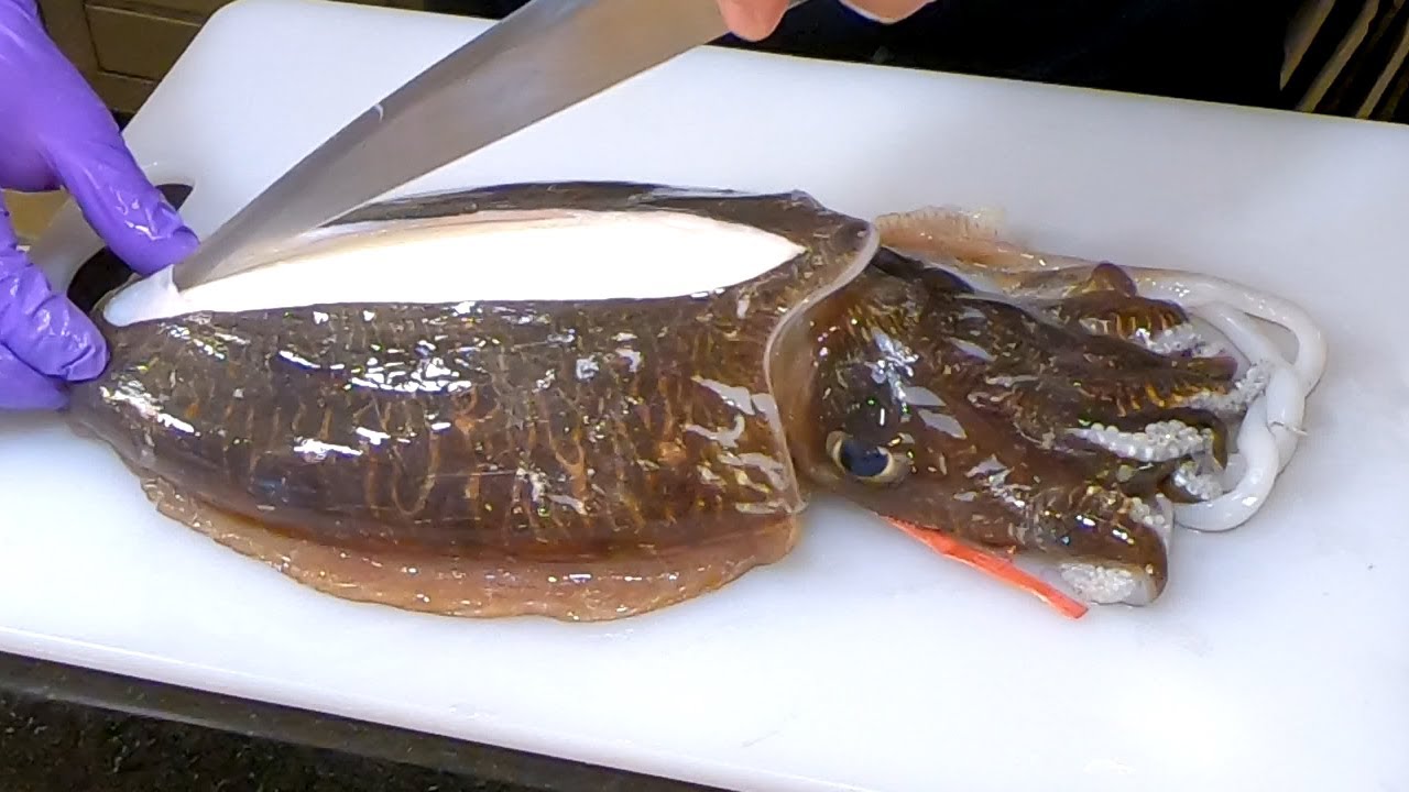 Cutting Live Cuttlefish at  Donggang Seafood Market 東港活花枝- Taiwan