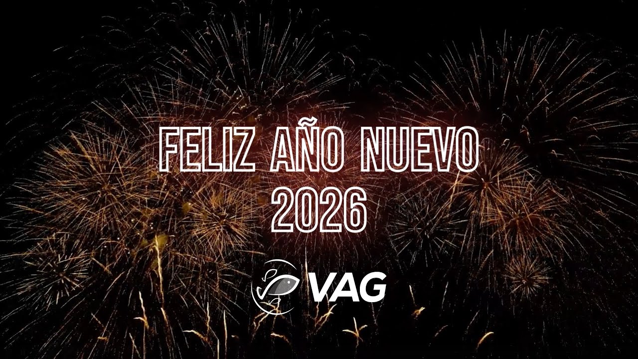 Especial de Fin de Año 2025