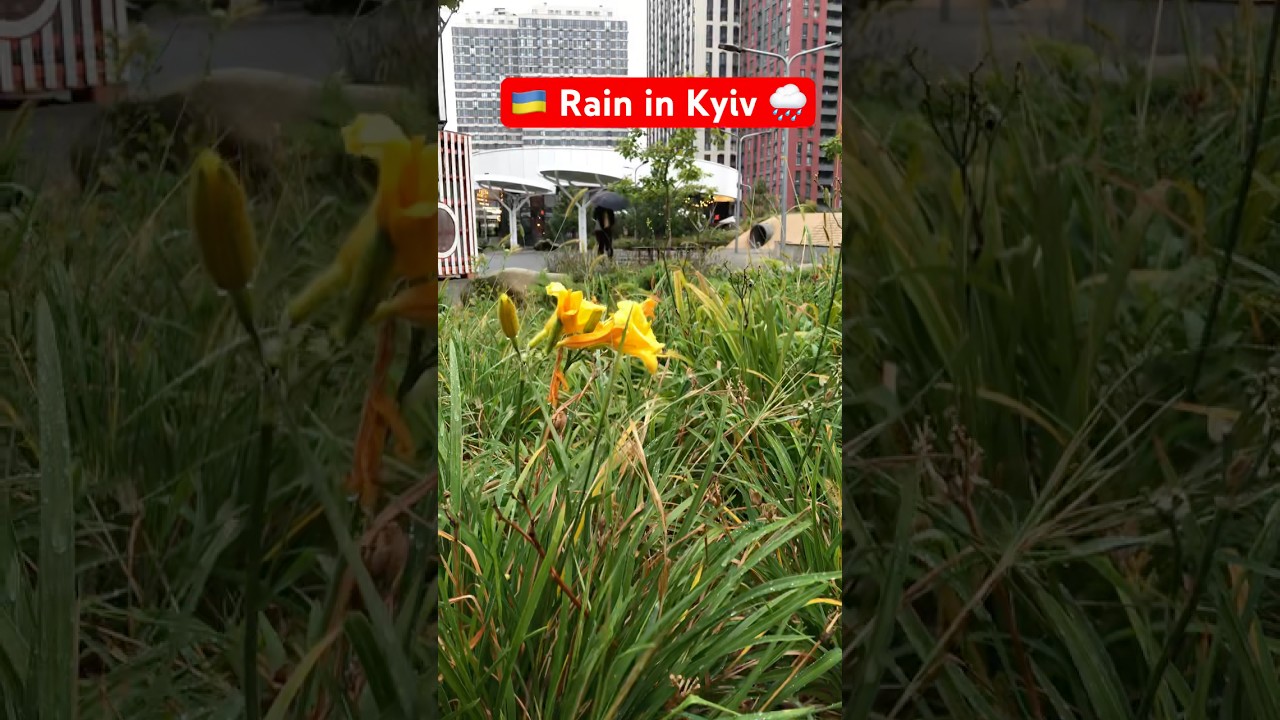 Ukraine Kyiv walk in 🌧️  Raining ☔️ #vlog #Ukraine #Kyiv #rain #shorts