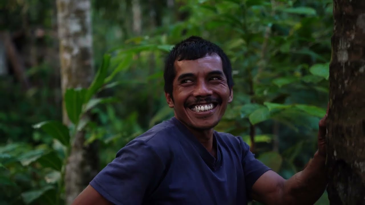Organic Coconut Sugar from Indonesia