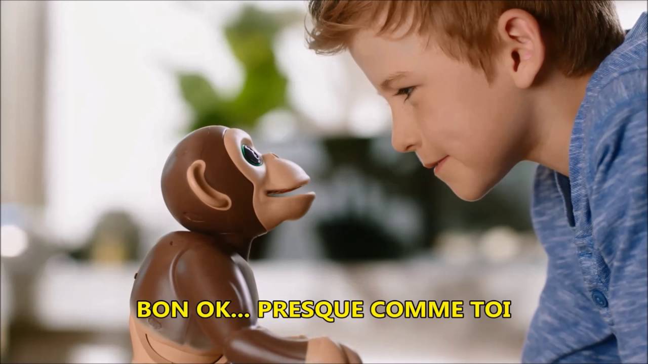 ZOOMER CHIMP   Commandes vocales