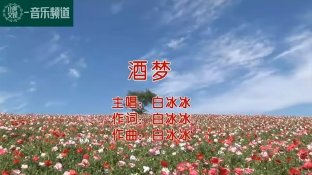 酒梦【白冰冰】经典歌曲 经典老歌|中文歌曲|华语歌曲|流行歌曲|老哥金曲|老歌|经典华语流行歌曲|老歌经典|华语老歌|华语经典歌曲