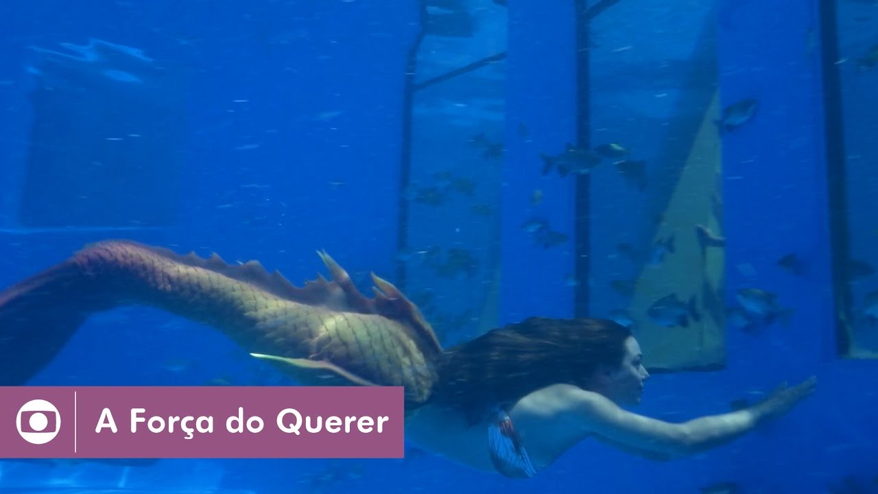 A Força do Querer: veja apresentação especial da nova das nove