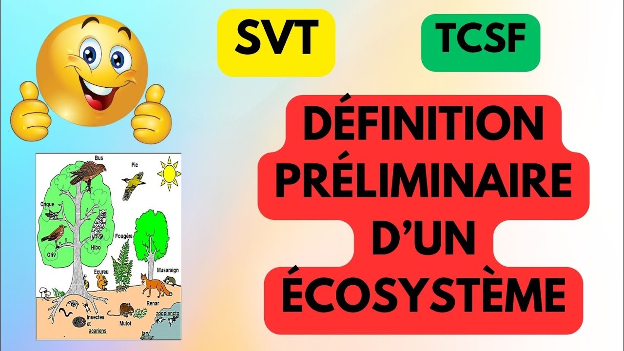 ⭐TCS/SVT/ECOLOGIE⭐:Définition préliminaire d’un écosystème #tcs #svt #ecosystem