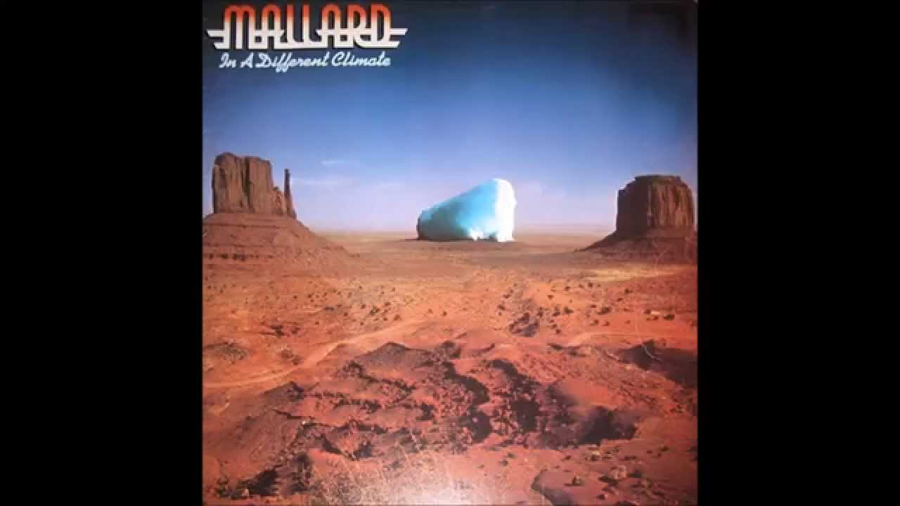 Mallard - Old Man Grey/Texas Weather
