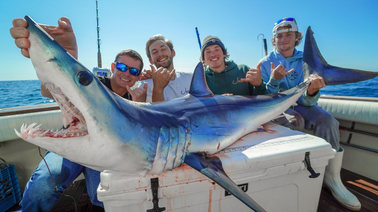 Mako SHARK! Catch Clean Cook (Offshore Fishing New York)