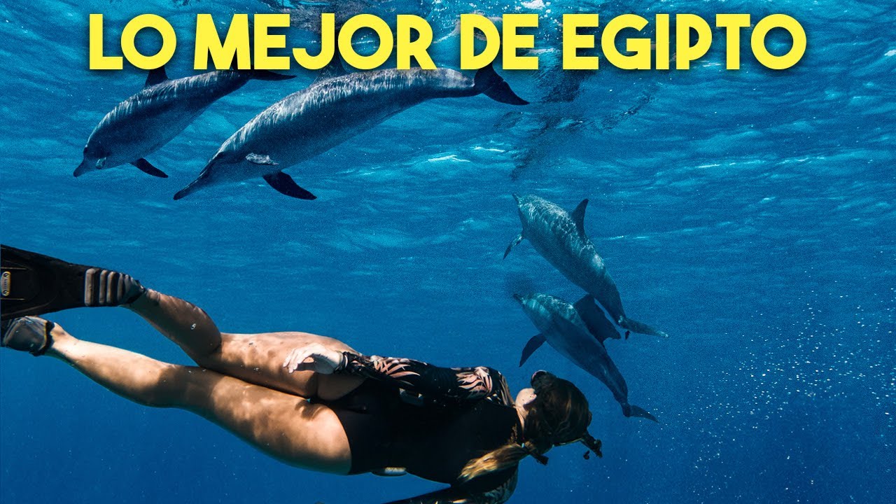 NO VAYAS A EGIPTO sin ver este video. Dos Locos De Viaje