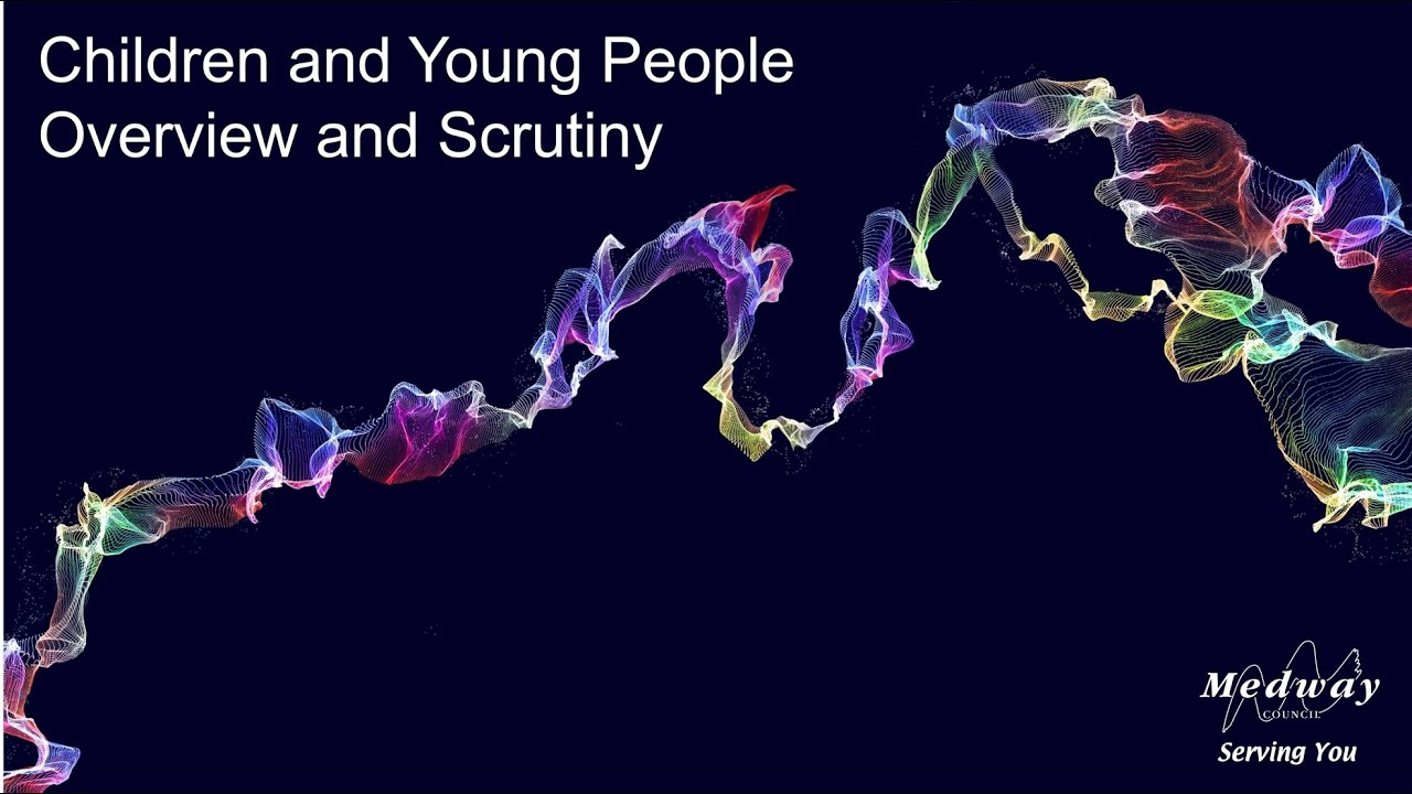 Children and Young People Overview and Scrutiny Committee