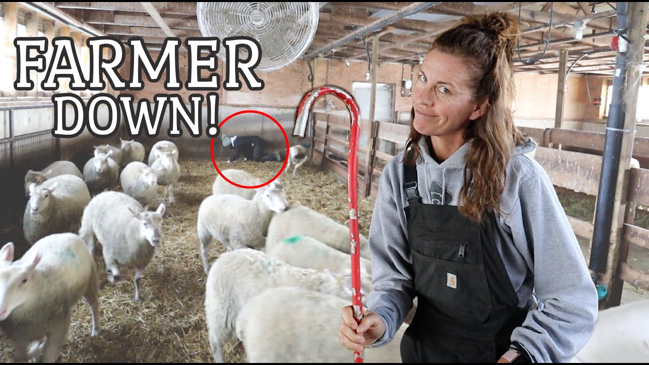 Little Bo Peep CAN'T CATCH HER SHEEP!!  Vlog 369