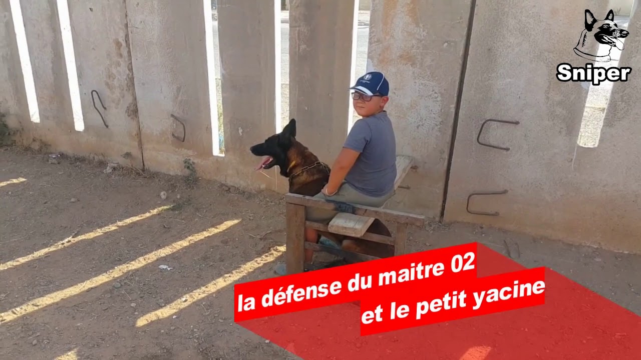 la défense du maitre 02