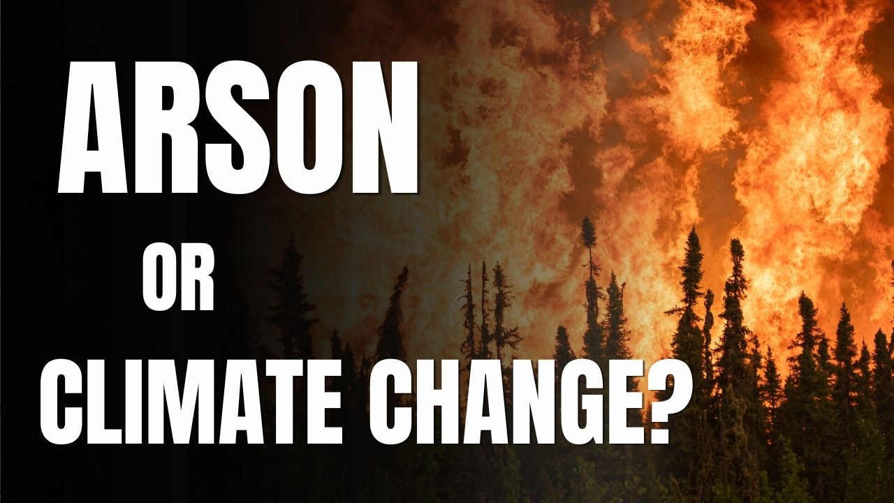 Canadian wildfires: ARSON, or CLIMATE CHANGE?