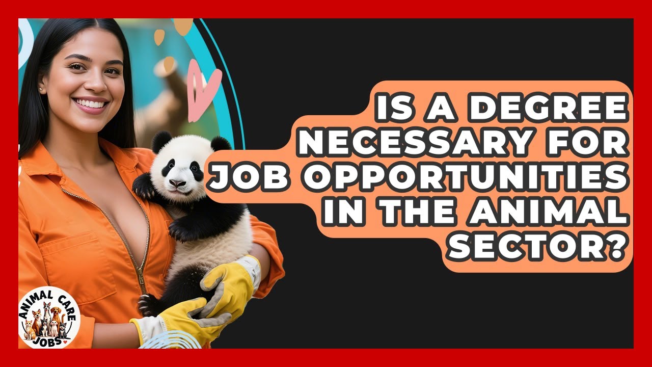 Is a Degree Necessary for Job Opportunities in the Animal Sector? - Animal Care Jobs