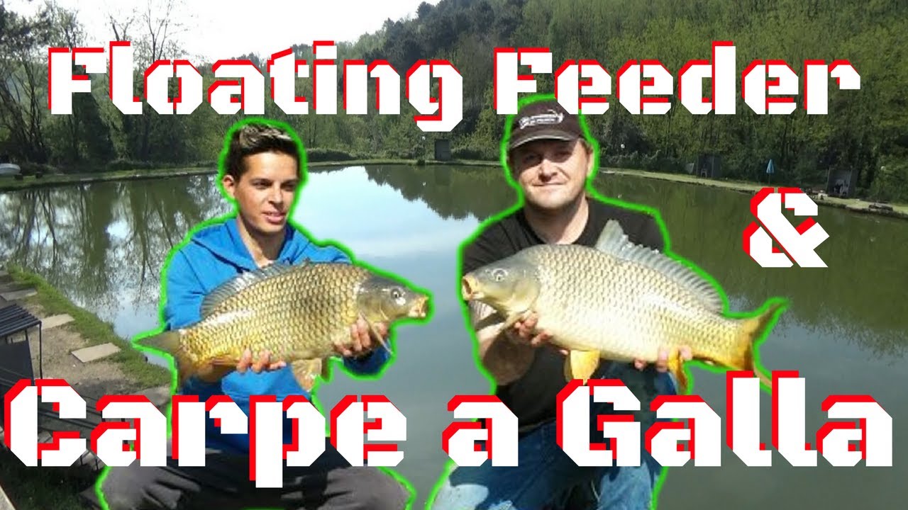 PESCARE LE CARPE A GALLA IN LAGO! - I.D.P. #60 - LAGO DEI PINI 2di2