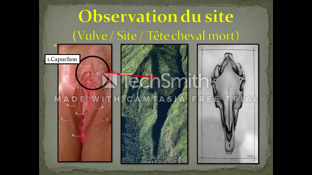 La Buse Cryptogramme [ Decouverte]