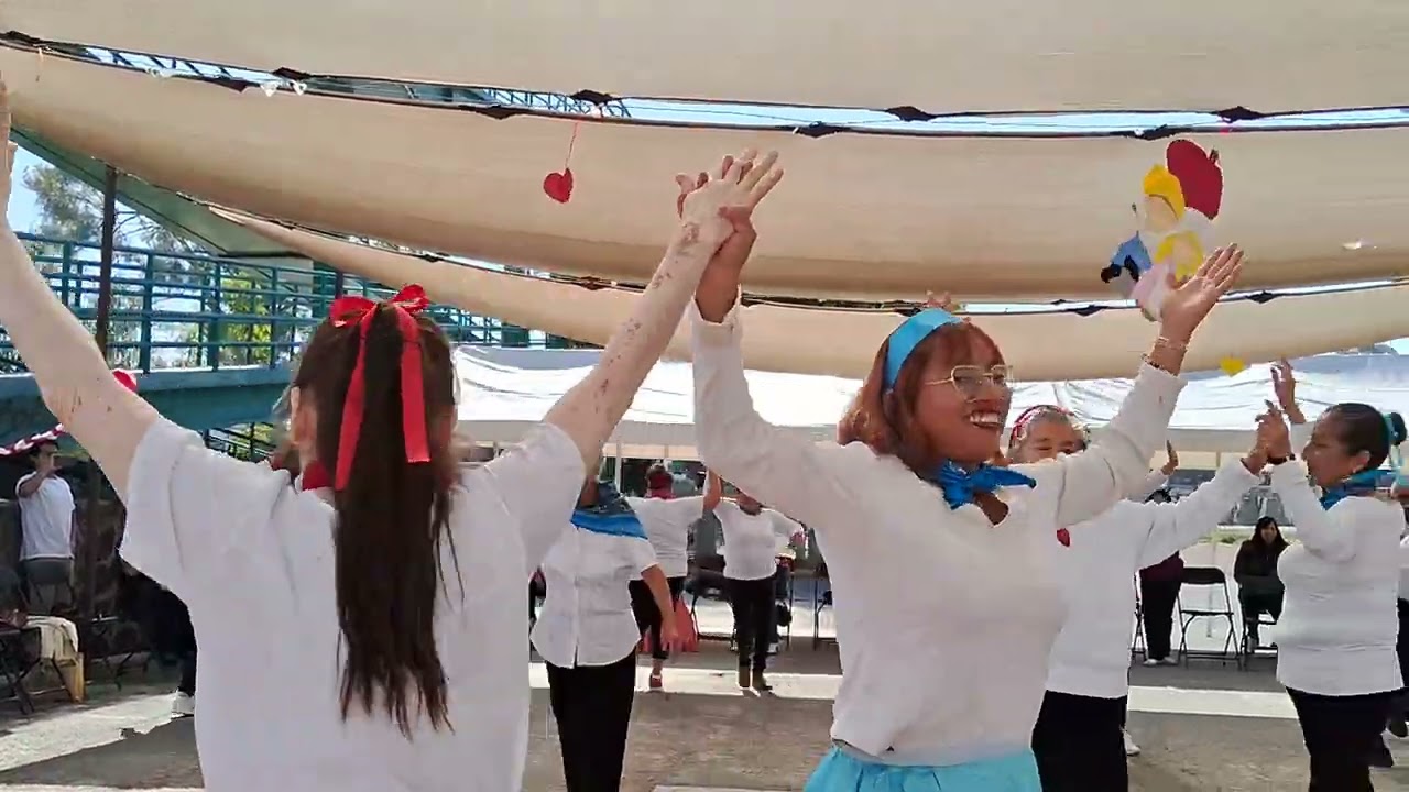Vaselina Casita de día 