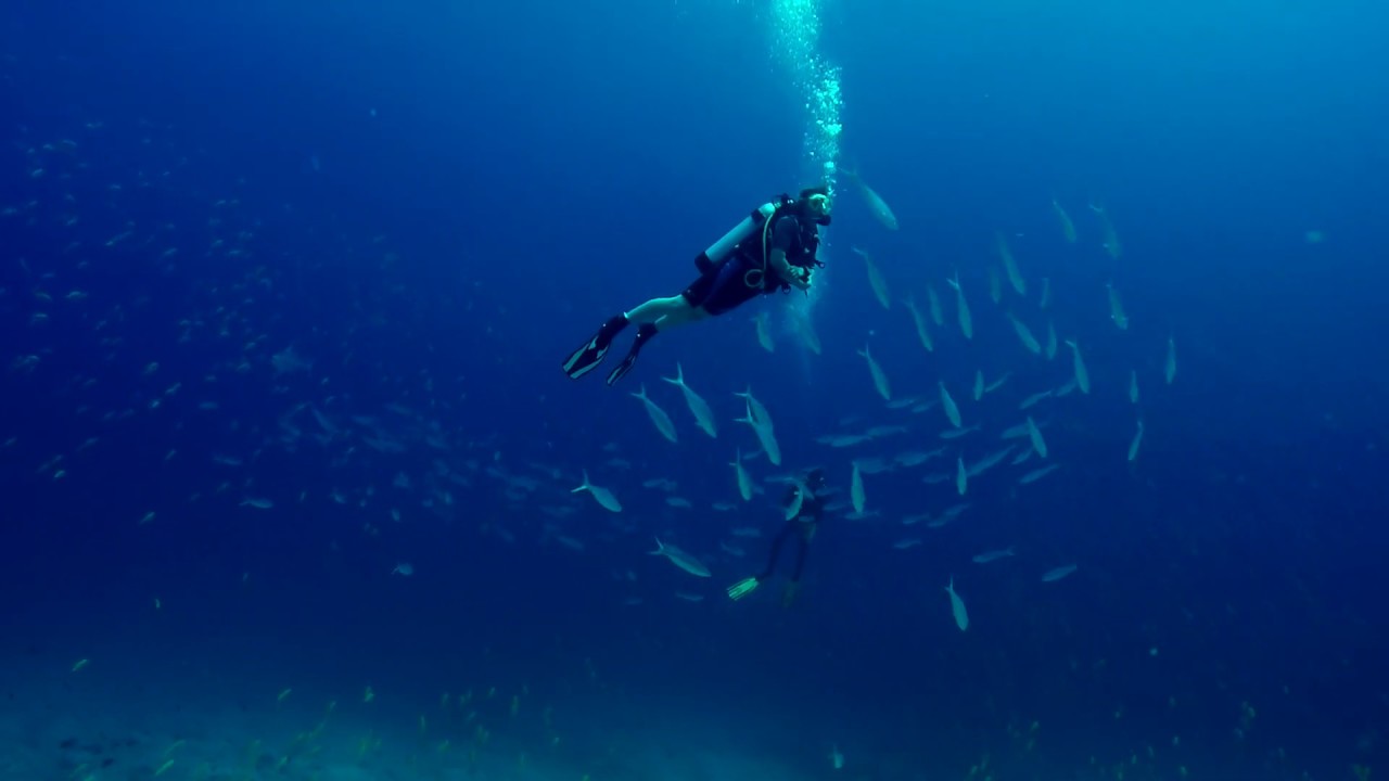 Diving in Baa Atoll - Dharavandhoo -  Maldives