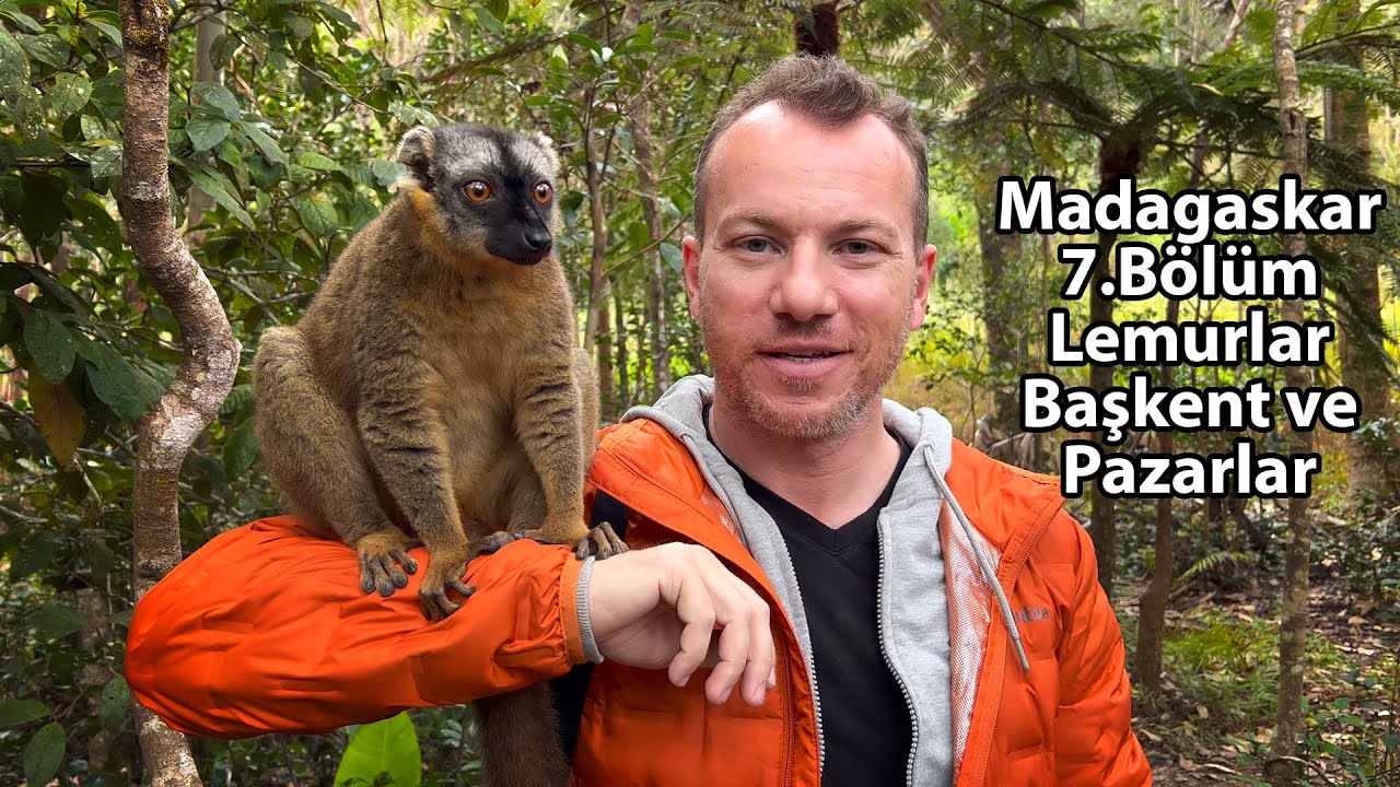 Lemurlar, Yemekler, Pazarlar, Madagaskar'ın Başkenti Antananarivo ve Andasibe - Madagaskar 7. Bölüm