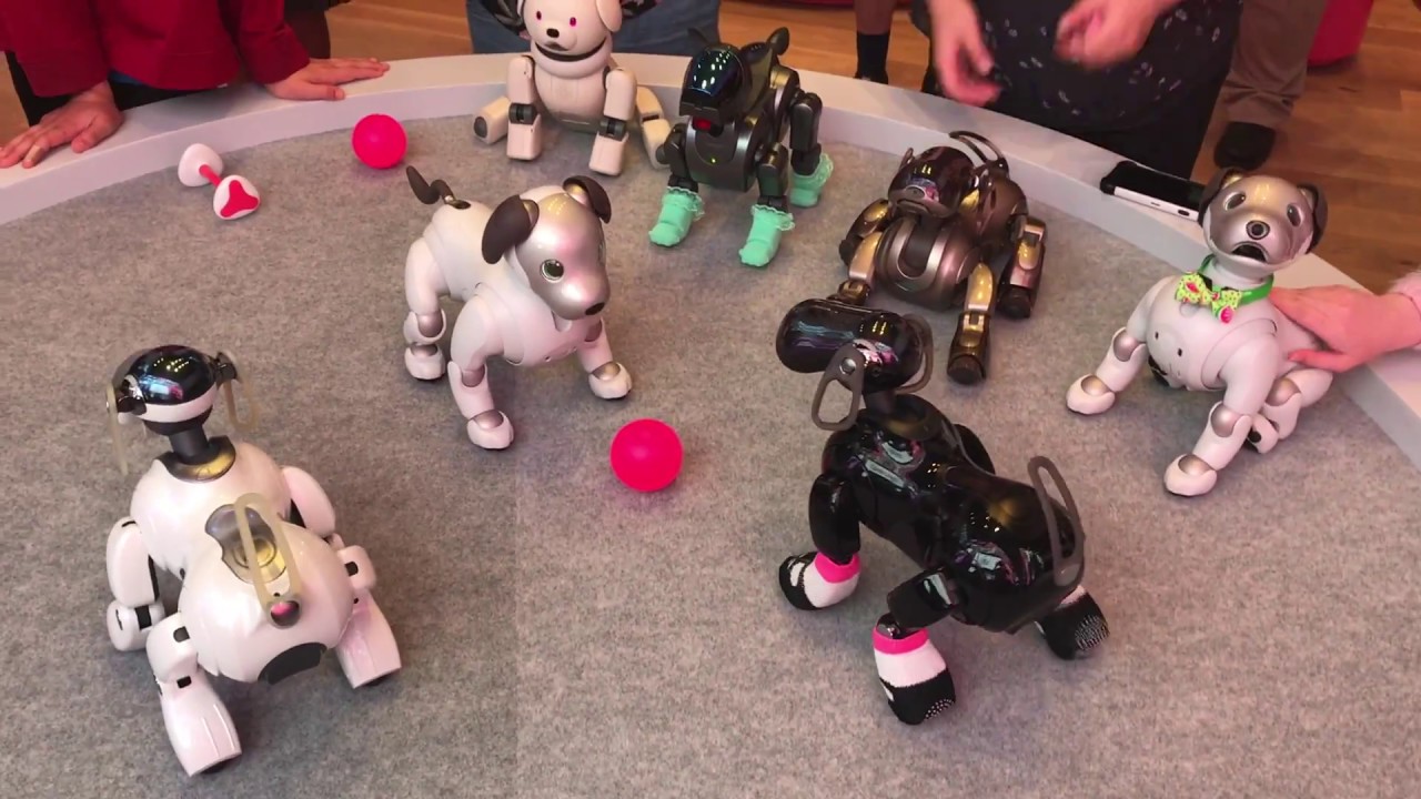 Original Aibos Meet the ERS-1000 at Sony Square NYC!