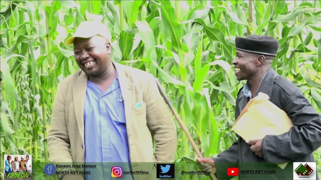 ARAP SEUREI FINALLY PICKS THE SHOWCAUSE LETTER' KIPSEON ARAP MANYUR ANAISHA KWA KICHEKO