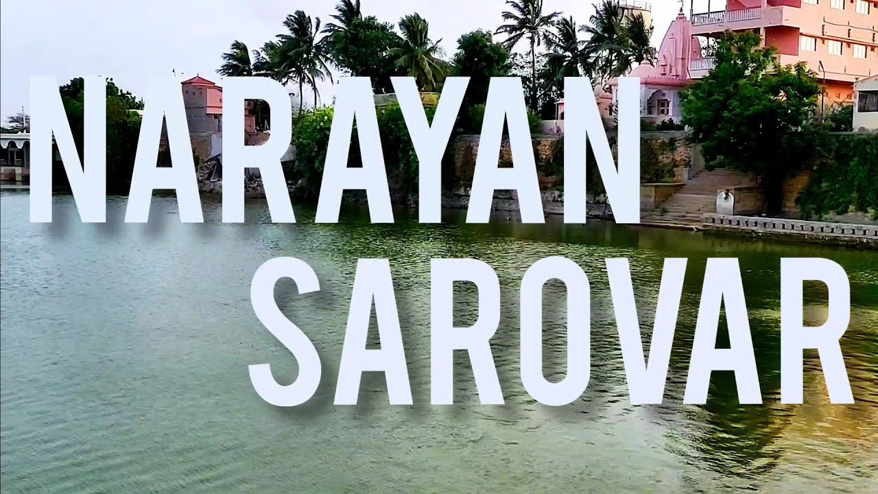 Narayan Sarovar : Bird Sanctuary #kutch  #travel #vlog