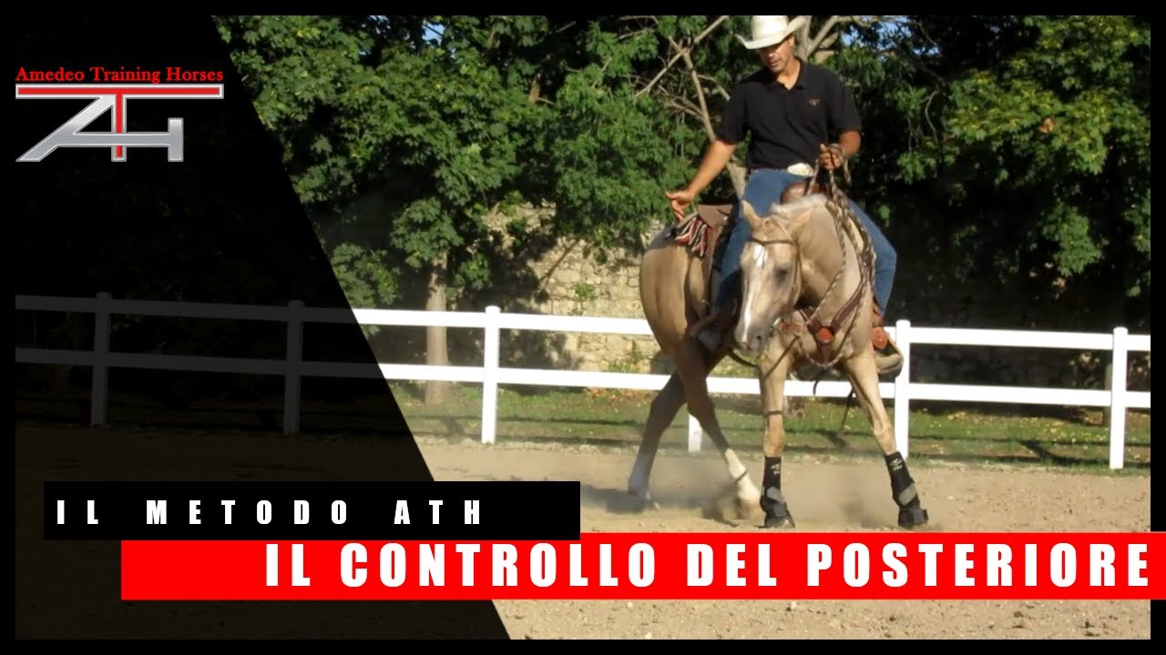 IL METODO ATH - IL CONTROLLO IN SELLA - IL CONTROLLO DEL POSTERIORE