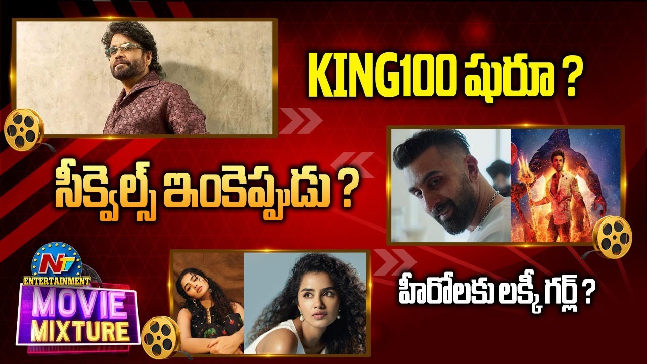 Nagarjuna's #KING100 Movie Update ? | Ranbir Kapoor's Animal Park & Brahmastra 2 Updates ? | NTV ENT
