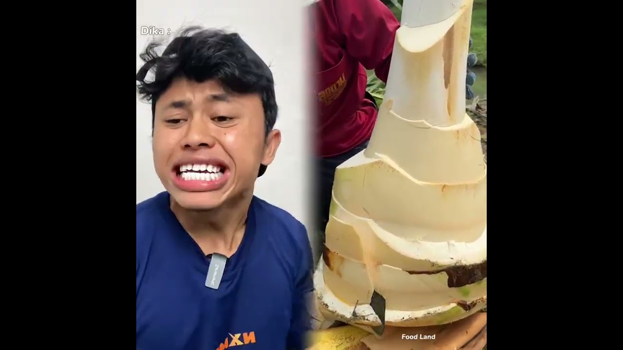 🤣👌👌👌2025 pov Must-Watch Crazy Clips Compilation #humor #fypシ #pov #fyp #foryou 😍