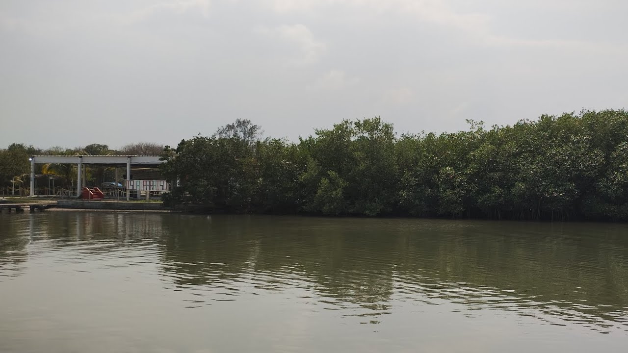 Mandinga Veracruz