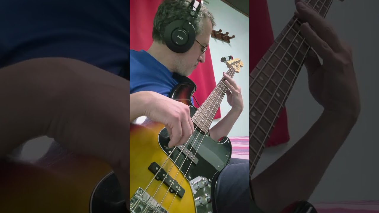 Los Mirlos - La Danza de Los Mirlos BASS COVER