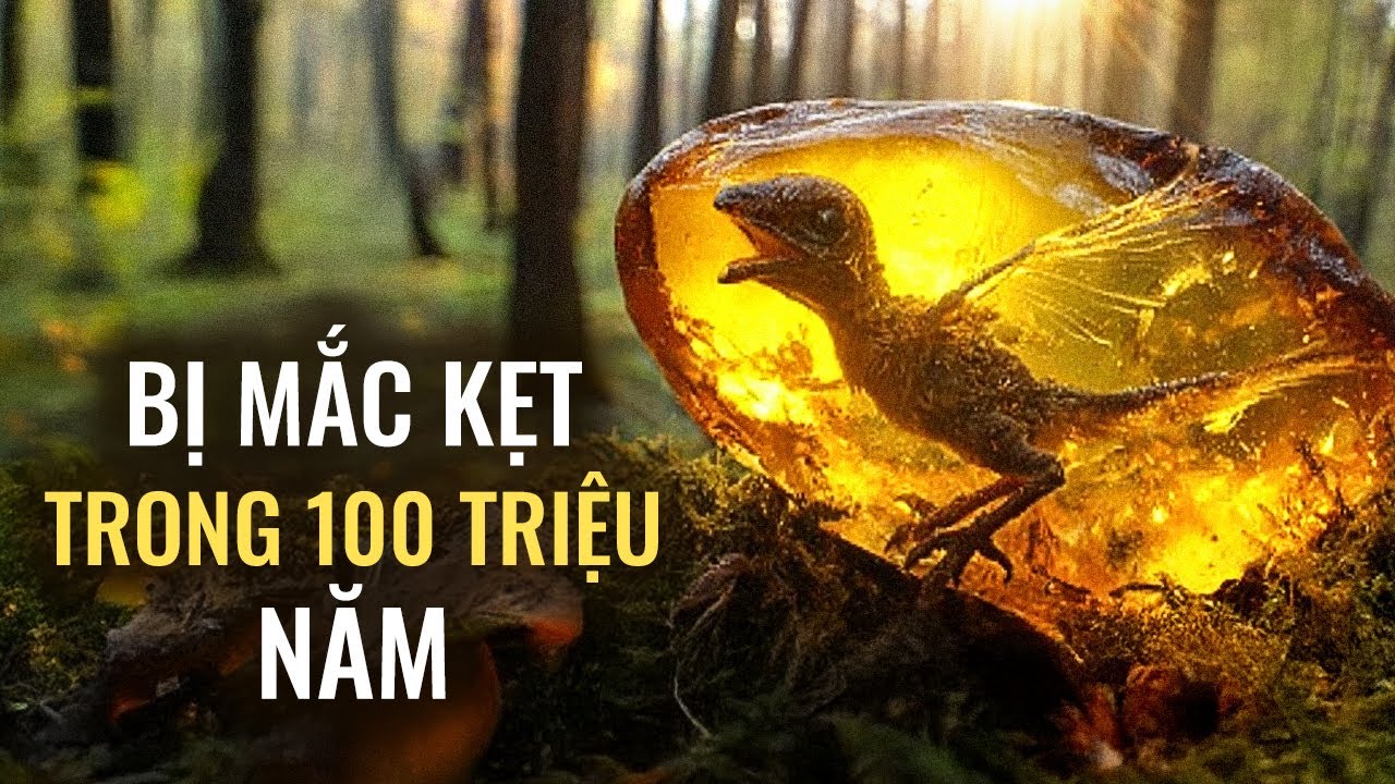 Những Điều Kỳ Lạ Nhất Từng Được Tìm Thấy Đóng Băng Trong Hổ Phách
