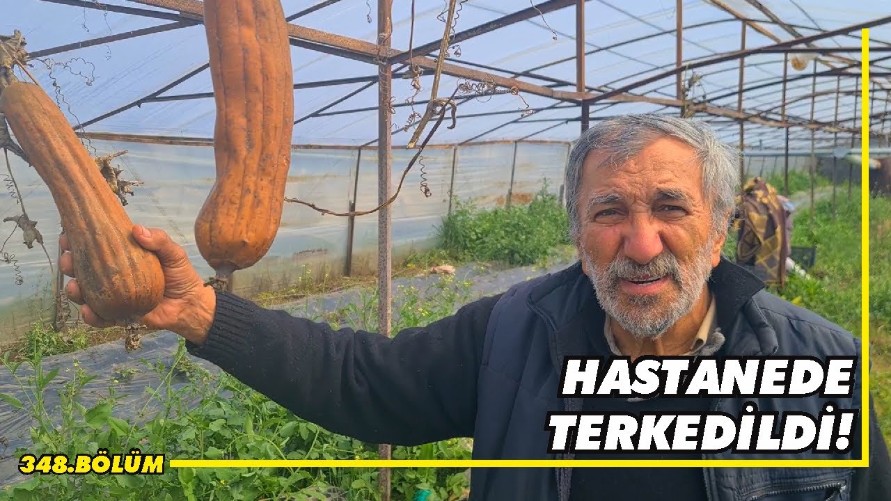 Müstakil hayatı seven yazılımcının yolunu EGE'ye düşüren bir konu var!