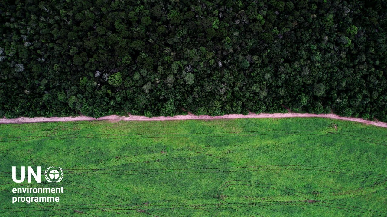 Incentivising #climateaction for Ecosystem Protection and sustainable agriculture #brazil