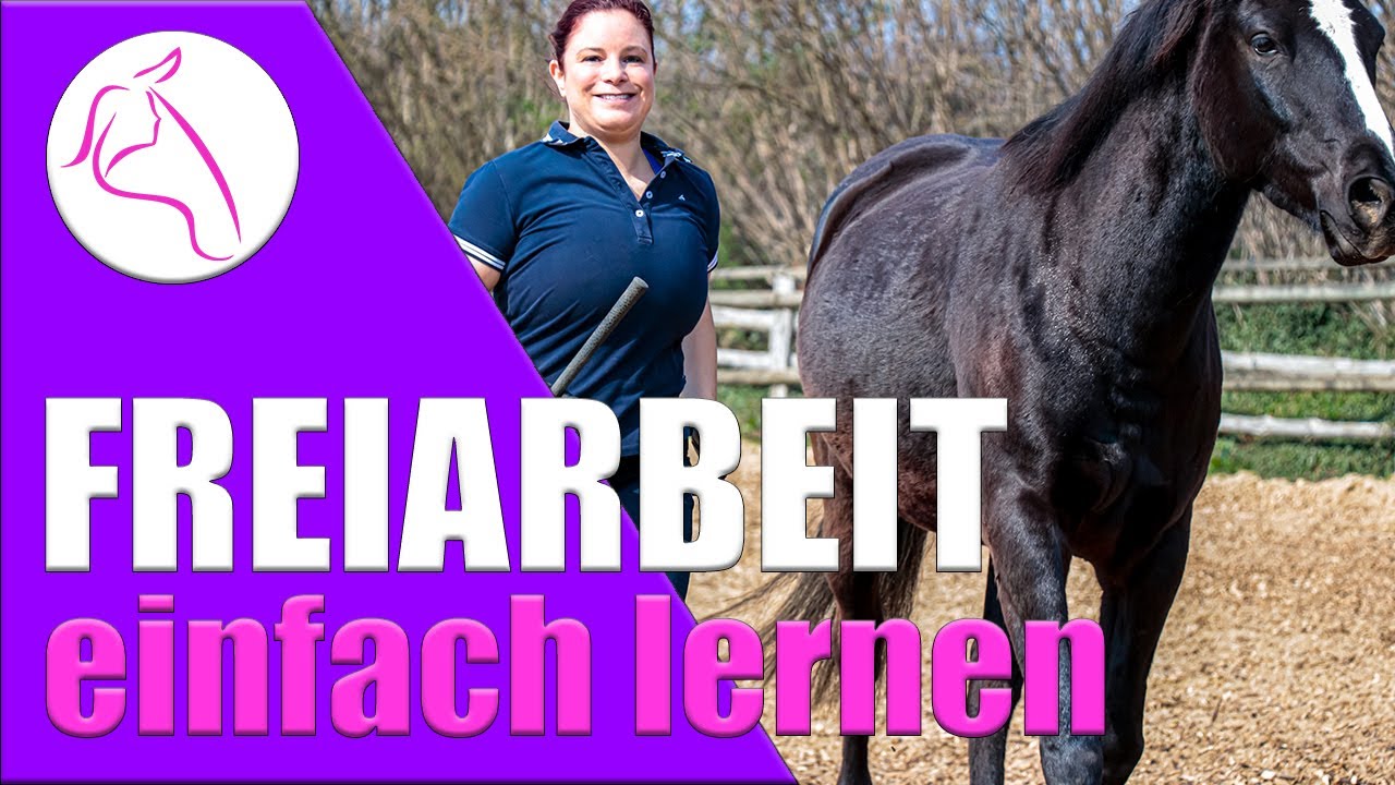 Freiarbeit Pferd lernen | LEKTION 1 Akzeptanz [ Liberty Roundpen Bodenarbeit bremsen durchparieren]