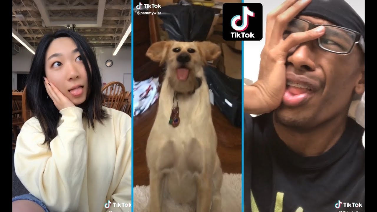 🤷God Awful TikTok Clips To Make You Last One More Day🤷