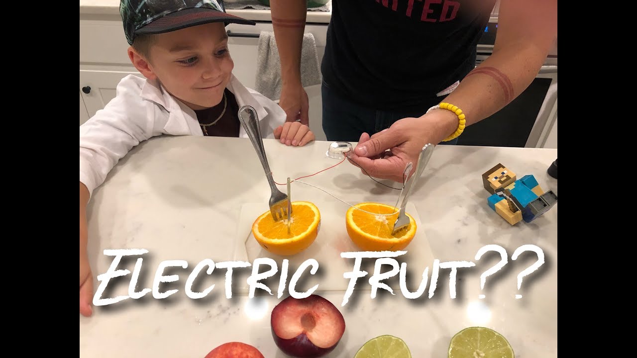 Fruit Electricity Experiment