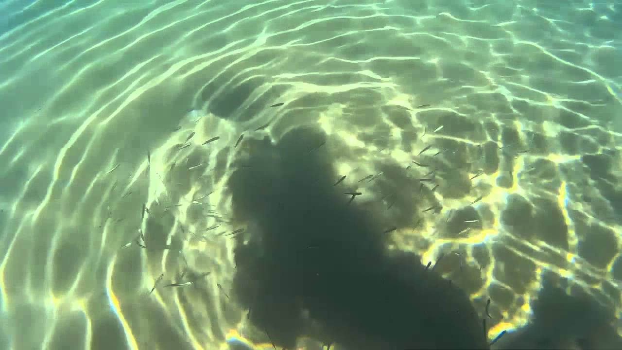 plaża Risika - Chorwacja Krk