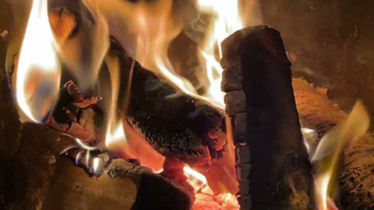 Real Campfire Sounds 🔥 Cozy Fire Ambience for Relaxation, Sleep & TV Watching (1 Hour)