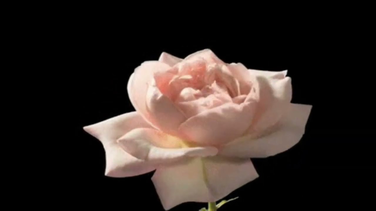 giorgio gaslini - cio che e' scritto nel vento (I) (slowed)