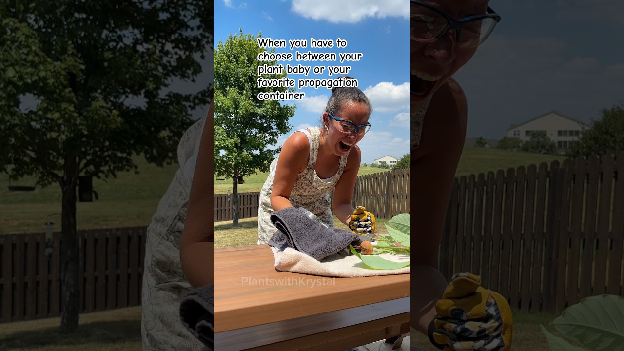 I will always choose you my plant baby. Mommas got you! 😂 #plantlovers #plantpeople