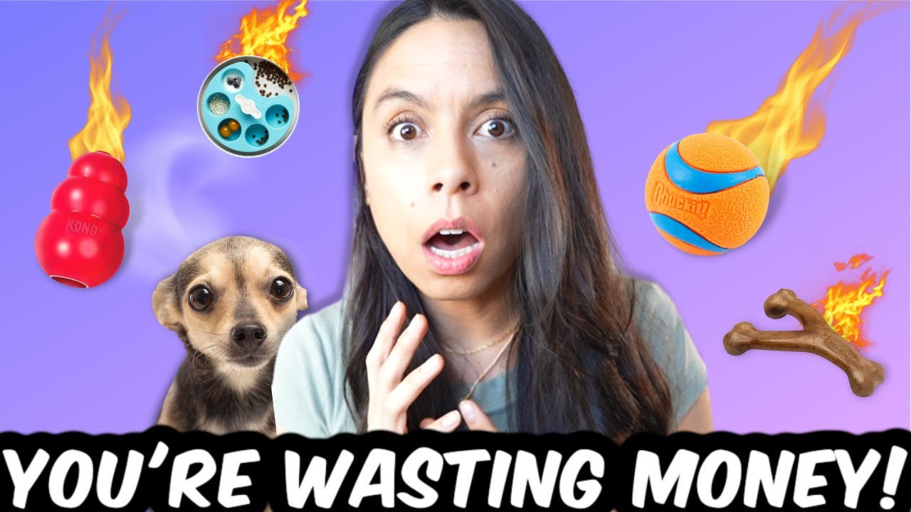 10 *VIRAL* Amazon Dog Finds that WON'T Waste Your Money!!