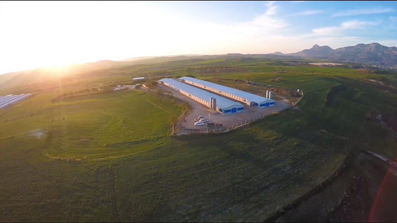 Krını Piliçleri - Tanıtım Filmi