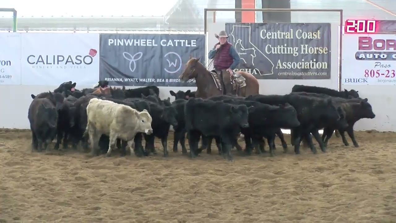 Asgood As Advertised 2:1:26 5 NH