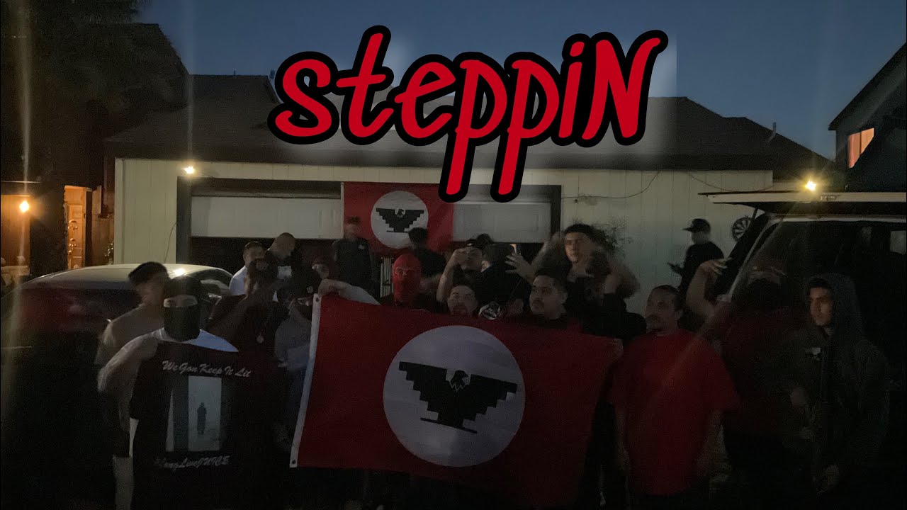 steppiN - TemperMK x BC De Goshen