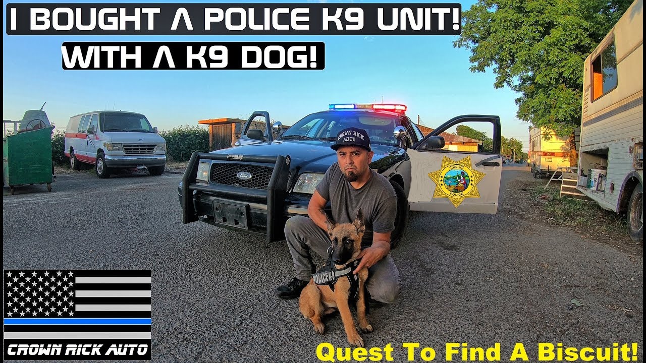 Searching A Police K9 UNIT With Police Dog! Crown Rick Auto