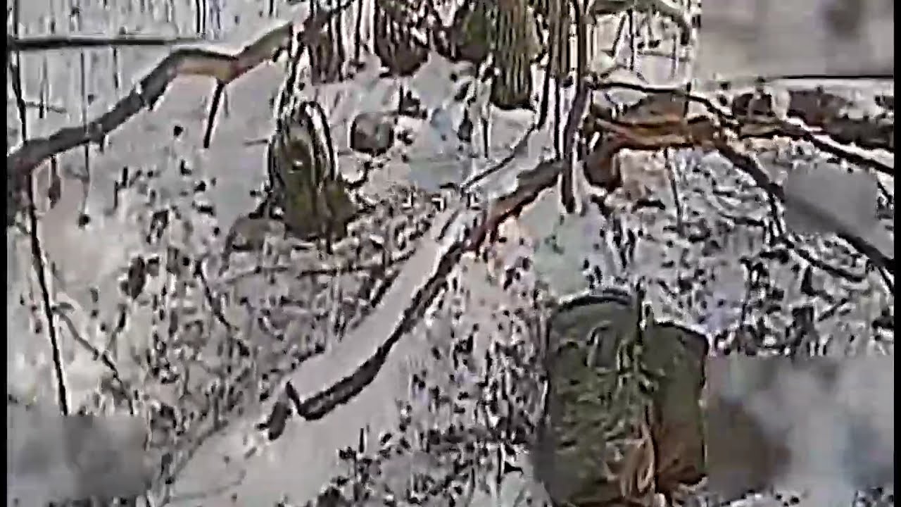 Прикордонники 5 загону виявили та знищили окупантів і їх укриття на Сумщині